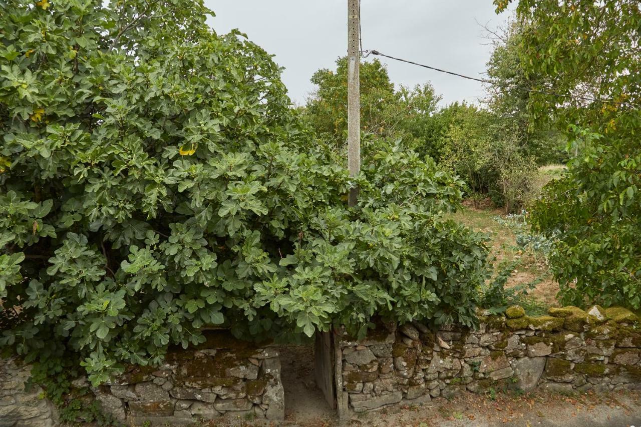 דירות Sabariz A Cucada מראה חיצוני תמונה